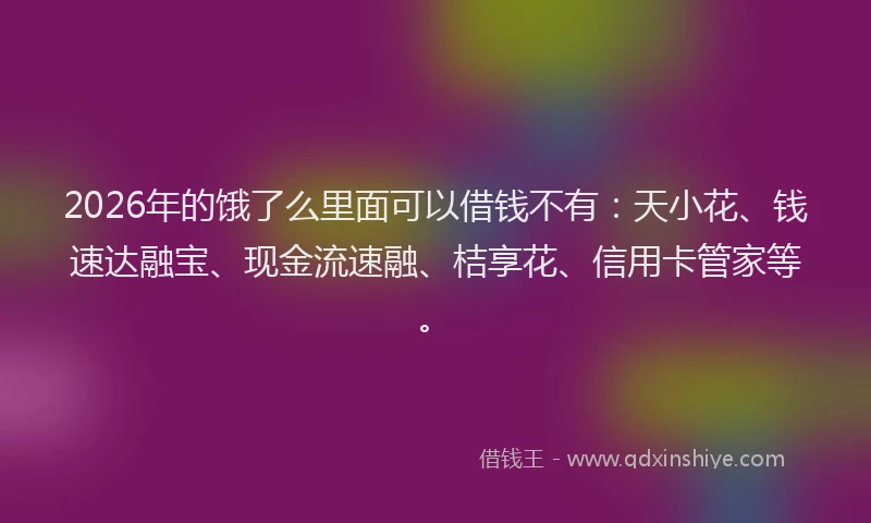 2026年的饿了么里面可以借钱不有：天小花、钱速达融宝、现金流速融、桔享花、信用卡管家等。