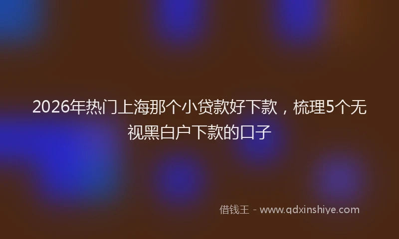 2026年热门上海那个小贷款好下款，梳理5个无视黑白户下款的口子