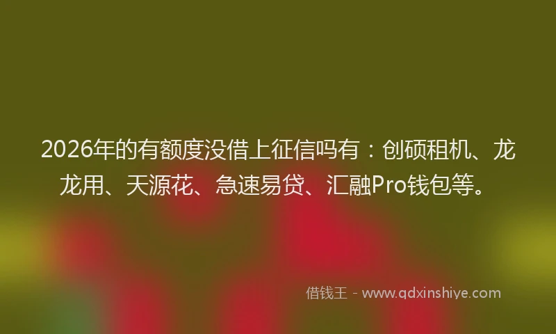 2026年的有额度没借上征信吗有：创硕租机、龙龙用、天源花、急速易贷、汇融Pro钱包等。
