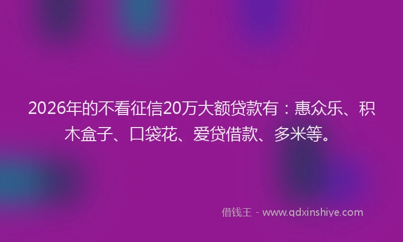 2026年的不看征信20万大额贷款有：惠众乐、积木盒子、口袋花、爱贷借款、多米等。