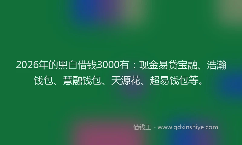 2026年的黑白借钱3000有：现金易贷宝融、浩瀚钱包、慧融钱包、天源花、超易钱包等。