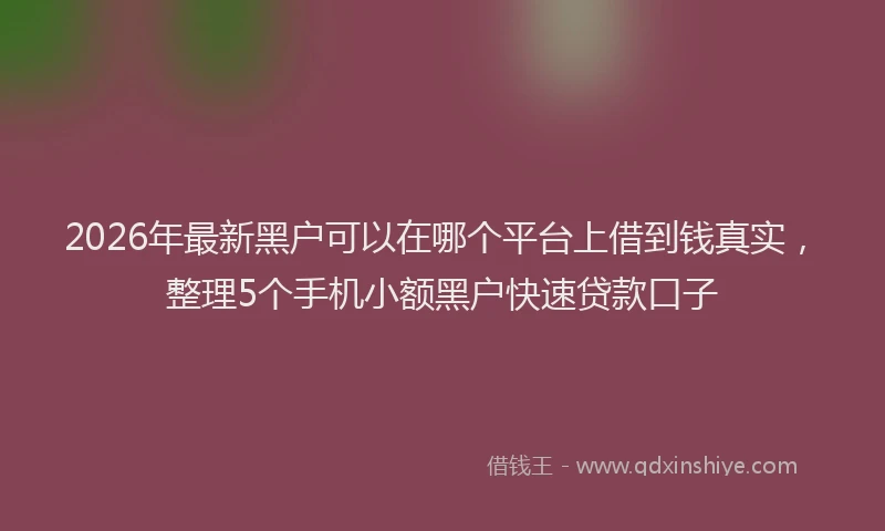 2026年最新黑户可以在哪个平台上借到钱真实，整理5个手机小额黑户快速贷款口子