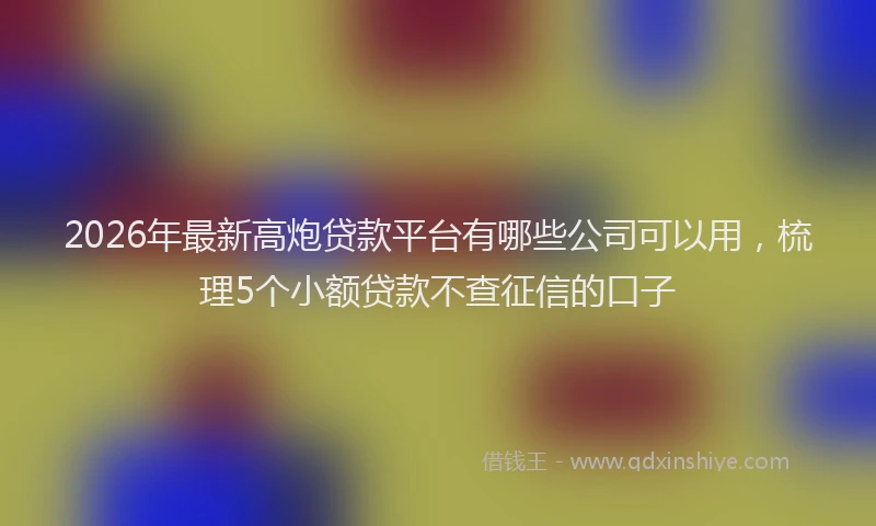 2026年最新高炮贷款平台有哪些公司可以用，梳理5个小额贷款不查征信的口子