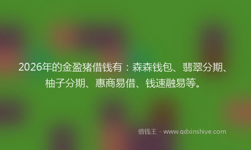 2026年的金盈猪借钱有：森森钱包、翡翠分期、柚子分期、惠商易借、钱速融易等。