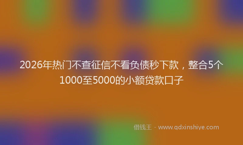 2026年热门不查征信不看负债秒下款，整合5个1000至5000的小额贷款口子