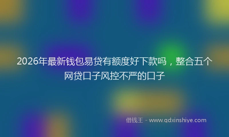 2026年最新钱包易贷有额度好下款吗，整合五个网贷口子风控不严的口子