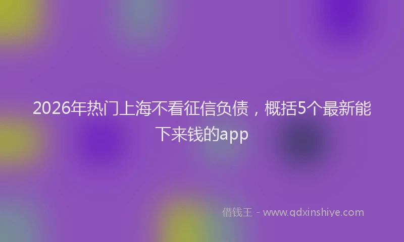 2026年热门上海不看征信负债，概括5个最新能下来钱的app