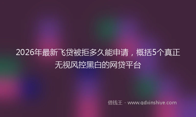 2026年最新飞贷被拒多久能申请，概括5个真正无视风控黑白的网贷平台