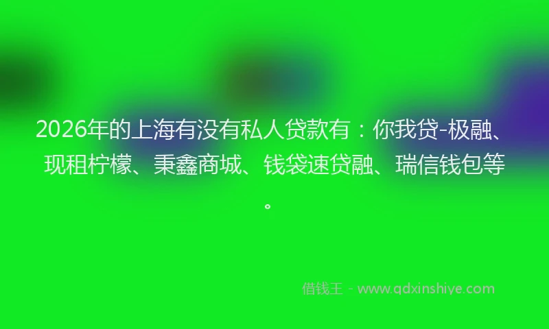 2026年的上海有没有私人贷款有：你我贷-极融、现租柠檬、秉鑫商城、钱袋速贷融、瑞信钱包等。