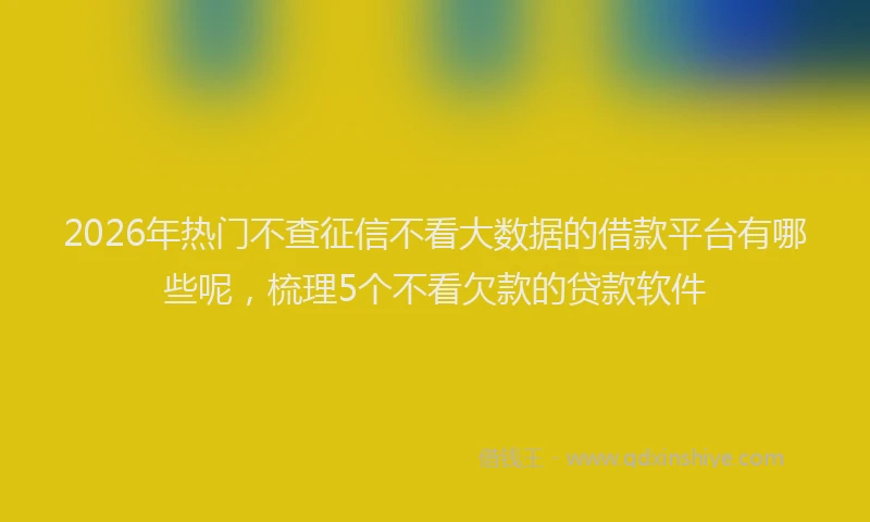 2026年热门不查征信不看大数据的借款平台有哪些呢，梳理5个不看欠款的贷款软件