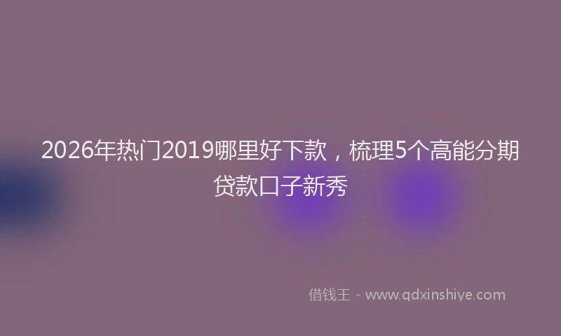 2026年热门2019哪里好下款，梳理5个高能分期贷款口子新秀