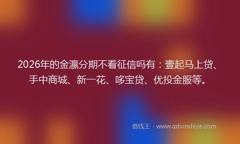 2026年的金瀛分期不看征信吗有：壹起马上贷、手中商城、新一花、哆宝贷、优投金服等。