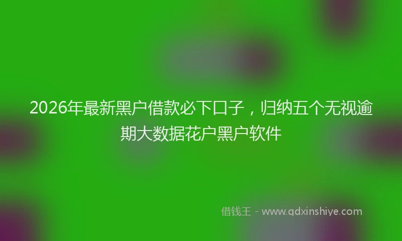 2026年最新黑户借款必下口子，归纳五个无视逾期大数据花户黑户软件
