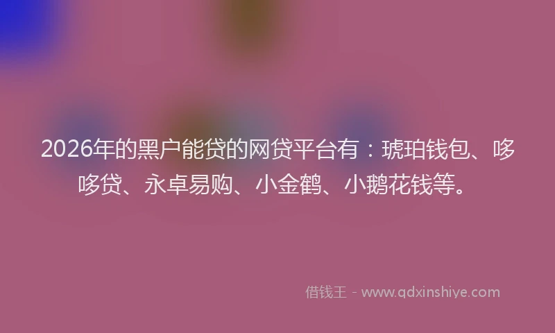 2026年的黑户能贷的网贷平台有：琥珀钱包、哆哆贷、永卓易购、小金鹤、小鹅花钱等。
