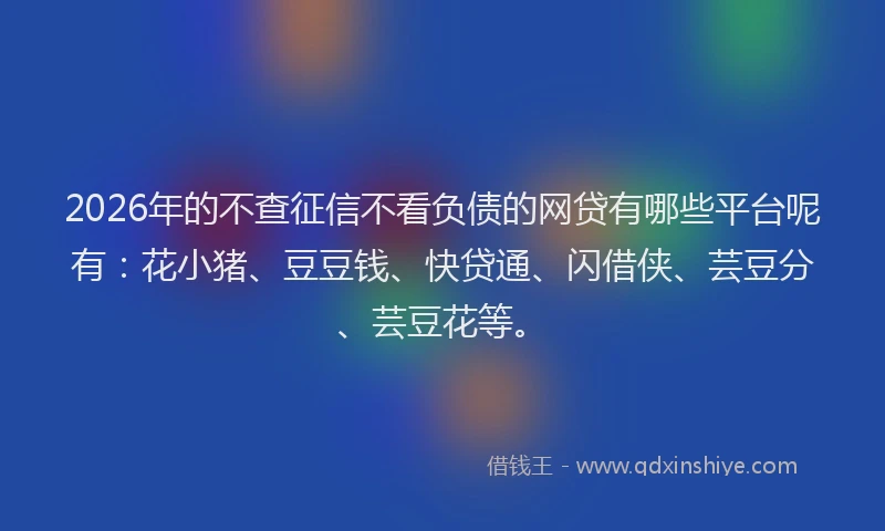 2026年的不查征信不看负债的网贷有哪些平台呢有：花小猪、豆豆钱、快贷通、闪借侠、芸豆分、芸豆花等。