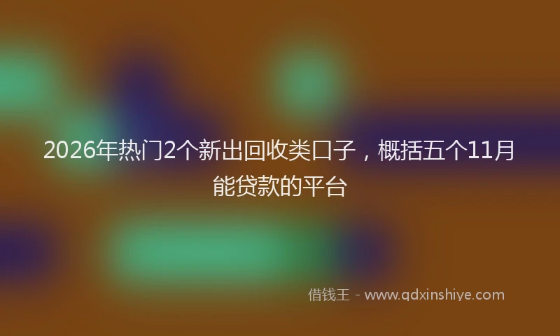 2026年热门2个新出回收类口子，概括五个11月能贷款的平台