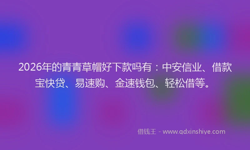 2026年的青青草帽好下款吗有：中安信业、借款宝快贷、易速购、金速钱包、轻松借等。