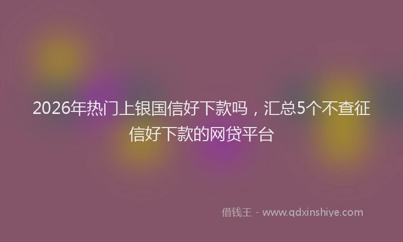 2026年热门上银国信好下款吗，汇总5个不查征信好下款的网贷平台