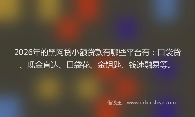 2026年的黑网贷小额贷款有哪些平台有：口袋贷、现金直达、口袋花、金钥匙、钱速融易等。