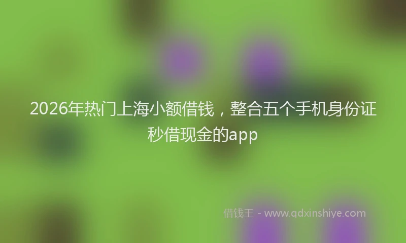 2026年热门上海小额借钱，整合五个手机身份证秒借现金的app