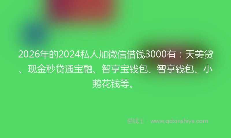 2026年的2024私人加微信借钱3000有：天美贷、现金秒贷通宝融、智享宝钱包、智享钱包、小鹅花钱等。