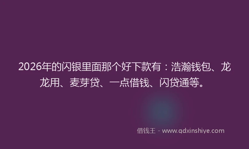 2026年的闪银里面那个好下款有：浩瀚钱包、龙龙用、麦芽贷、一点借钱、闪贷通等。