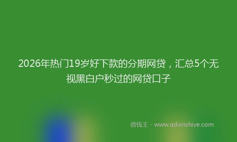 2026年热门19岁好下款的分期网贷，汇总5个无视黑白户秒过的网贷口子
