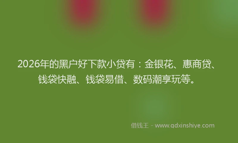 2026年的黑户好下款小贷有：金银花、惠商贷、钱袋快融、钱袋易借、数码潮享玩等。