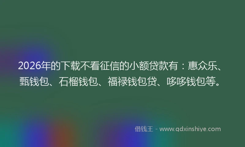 2026年的下载不看征信的小额贷款有：惠众乐、甄钱包、石榴钱包、福禄钱包贷、哆哆钱包等。