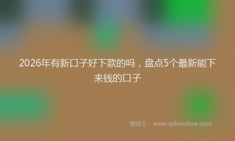 2026年有新口子好下款的吗，盘点5个最新能下来钱的口子