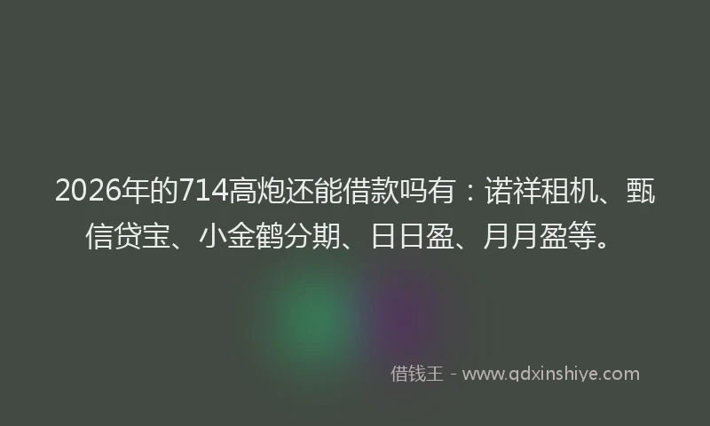 2026年的714高炮还能借款吗有：诺祥租机、甄信贷宝、小金鹤分期、日日盈、月月盈等。