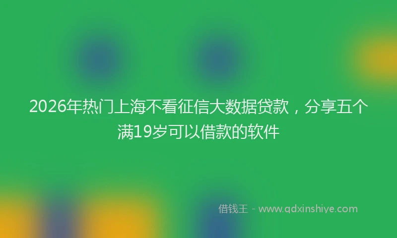 2026年热门上海不看征信大数据贷款，分享五个满19岁可以借款的软件
