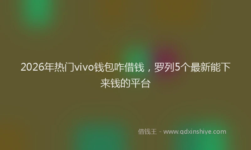 2026年热门vivo钱包咋借钱，罗列5个最新能下来钱的平台