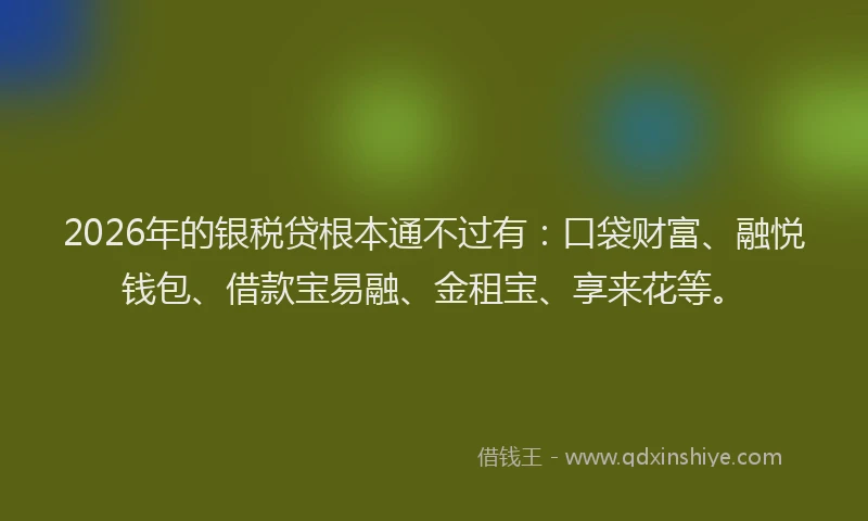 2026年的银税贷根本通不过有：口袋财富、融悦钱包、借款宝易融、金租宝、享来花等。