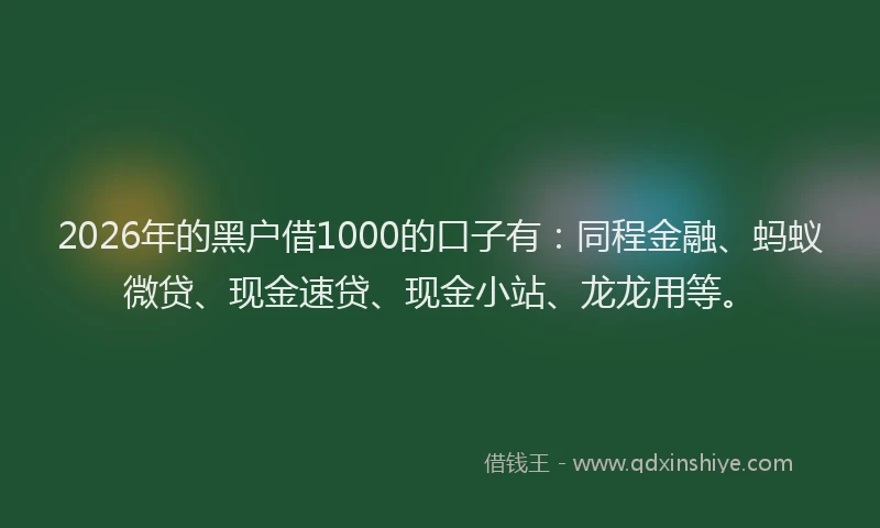 2026年的黑户借1000的口子有：同程金融、蚂蚁微贷、现金速贷、现金小站、龙龙用等。