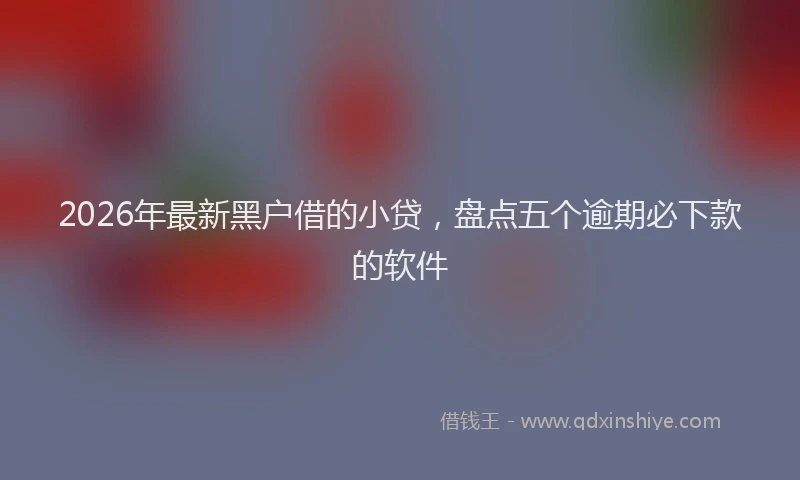 2026年最新黑户借的小贷，盘点五个逾期必下款的软件