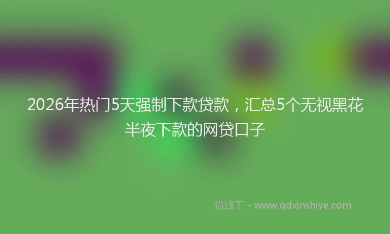 2026年热门5天强制下款贷款，汇总5个无视黑花半夜下款的网贷口子