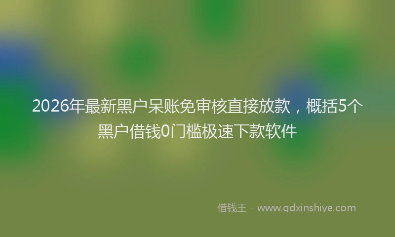 2026年最新黑户呆账免审核直接放款，概括5个黑户借钱0门槛极速下款软件