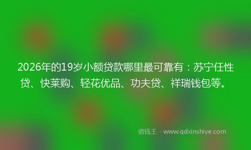2026年的19岁小额贷款哪里最可靠有：苏宁任性贷、快莱购、轻花优品、功夫贷、祥瑞钱包等。