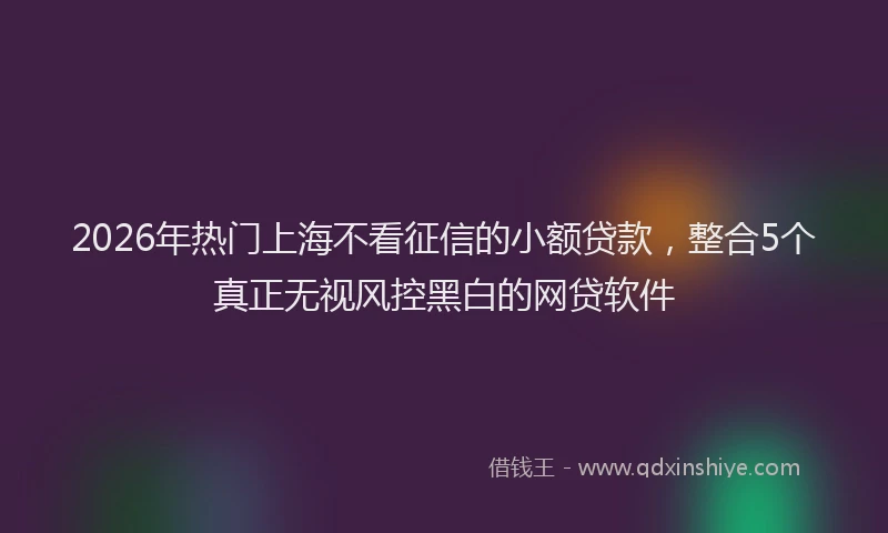 2026年热门上海不看征信的小额贷款，整合5个真正无视风控黑白的网贷软件
