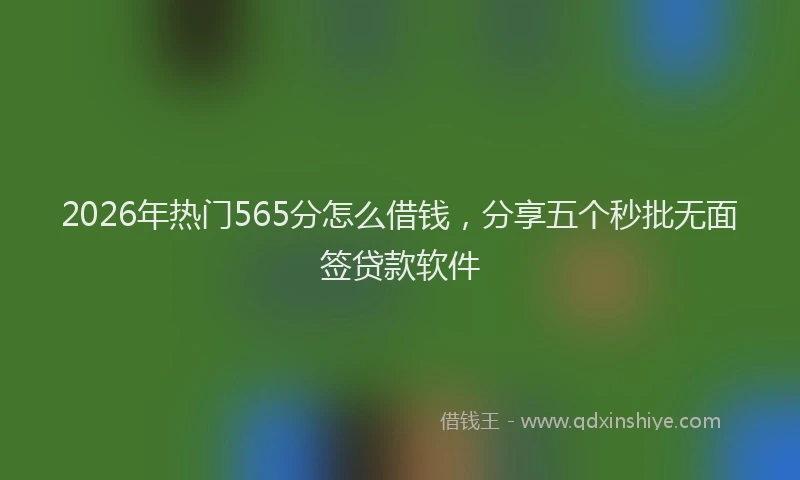 2026年热门565分怎么借钱，分享五个秒批无面签贷款软件