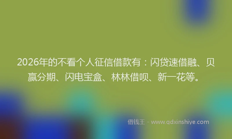 2026年的不看个人征信借款有：闪贷速借融、贝赢分期、闪电宝盒、林林借呗、新一花等。
