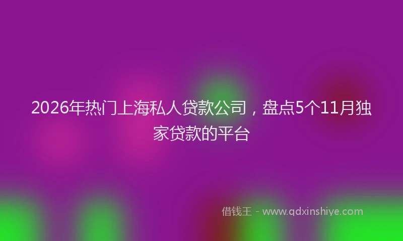 2026年热门上海私人贷款公司，盘点5个11月独家贷款的平台