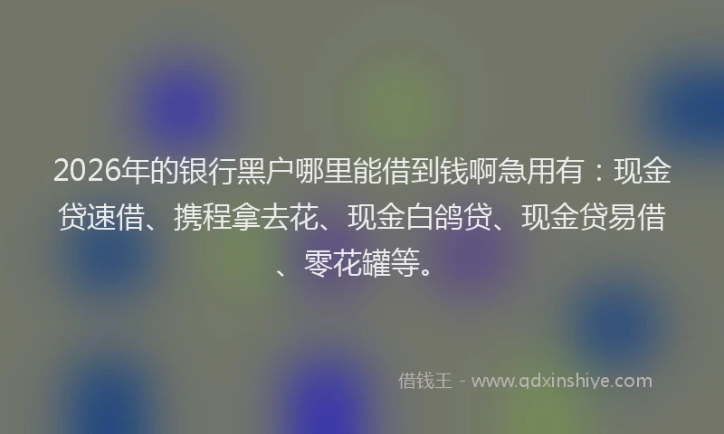 2026年的银行黑户哪里能借到钱啊急用有：现金贷速借、携程拿去花、现金白鸽贷、现金贷易借、零花罐等。