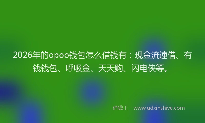 2026年的opoo钱包怎么借钱有：现金流速借、有钱钱包、呼吸金、天天购、闪电侠等。