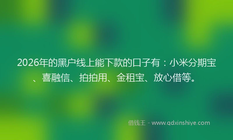2026年的黑户线上能下款的口子有：小米分期宝、喜融信、拍拍用、金租宝、放心借等。