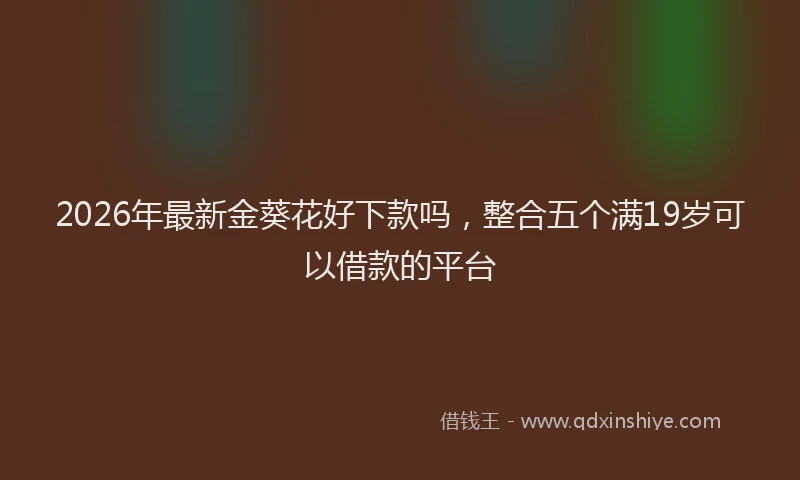 2026年最新金葵花好下款吗，整合五个满19岁可以借款的平台