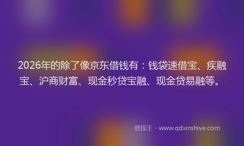 2026年的除了像京东借钱有：钱袋速借宝、疾融宝、沪商财富、现金秒贷宝融、现金贷易融等。