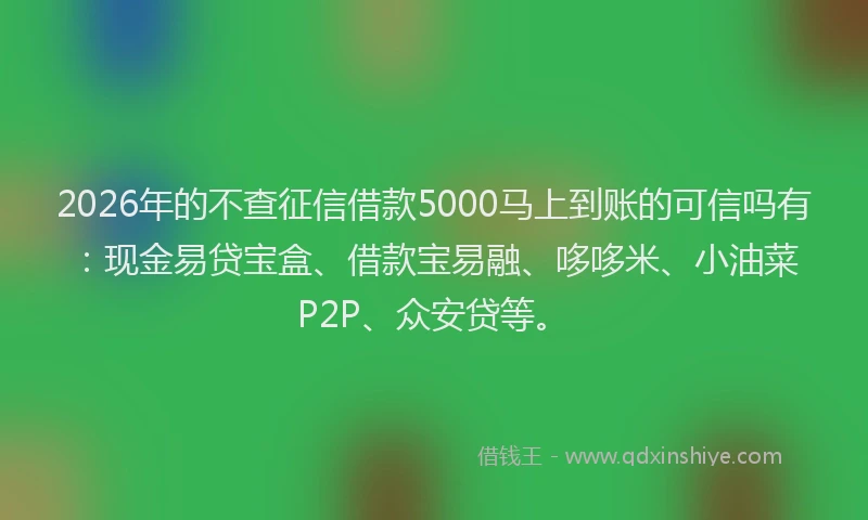 2026年的不查征信借款5000马上到账的可信吗有：现金易贷宝盒、借款宝易融、哆哆米、小油菜P2P、众安贷等。