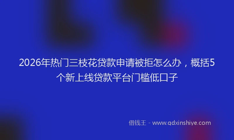 2026年热门三枝花贷款申请被拒怎么办，概括5个新上线贷款平台门槛低口子